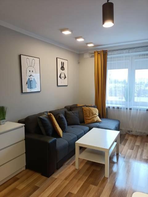 Family & Business Elegant Apartments Rynek Centrum Downtown - 2 Bedroom, Balcony, Parking Kielce Exteriér fotografie