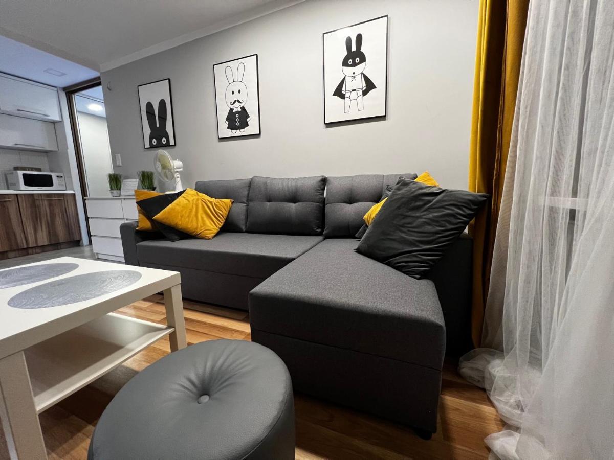 Family & Business Elegant Apartments Rynek Centrum Downtown - 2 Bedroom, Balcony, Parking Kielce Exteriér fotografie